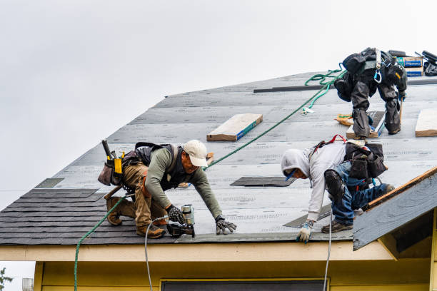 Professional Gutter Installation technician working in Condon, MT